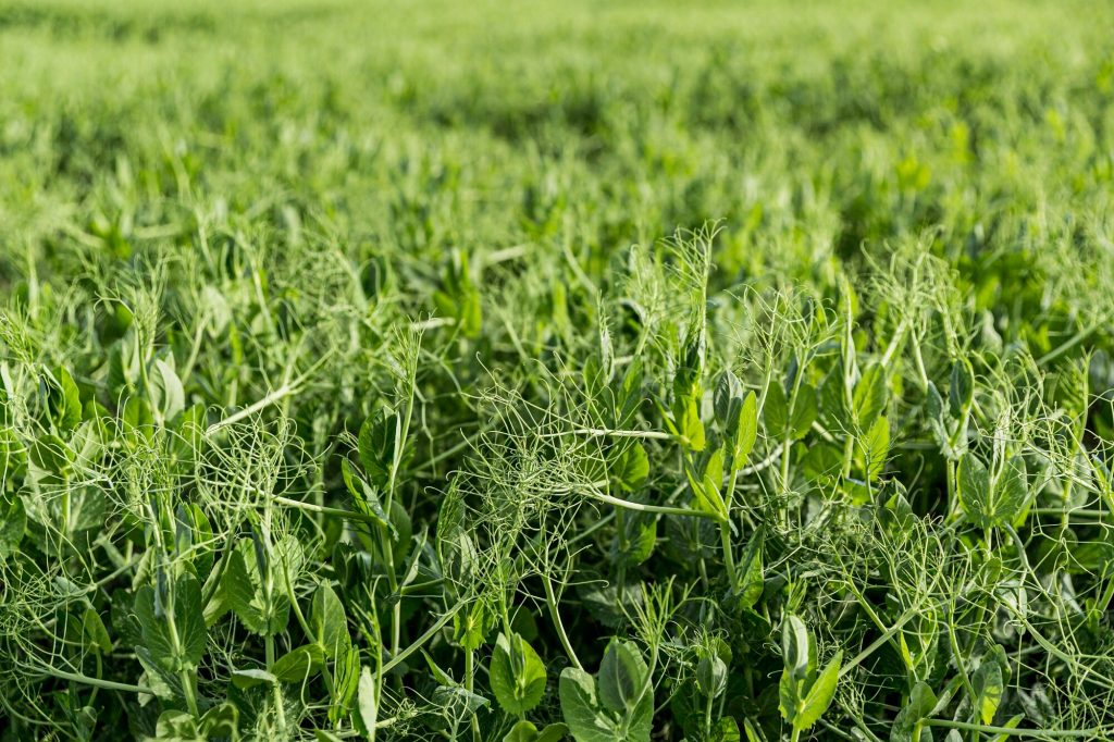 vista tierras cultivo 23 2148579677
